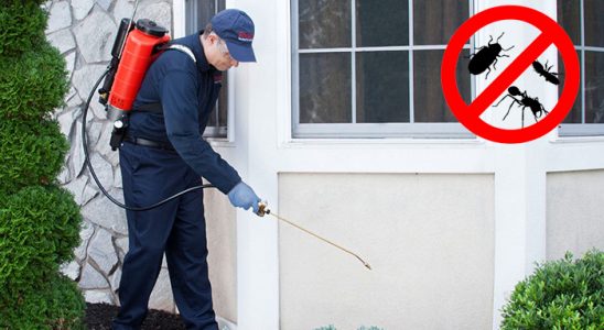 Canik Gümüşkurt İlaçlama böcek ilaçlama ve haşere kontrolü — ilaclama-tr.com